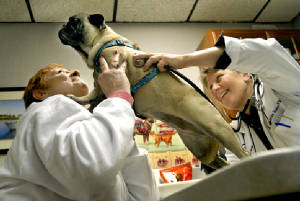 unitedanimalrescue.jpg