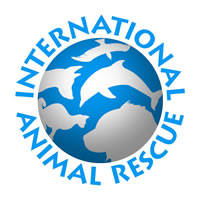 internationalrescuewashington.jpg