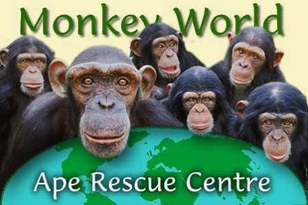 monkeyrescuecenter.jpg